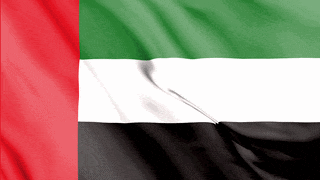 UAE Flag