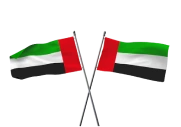 UAE Flag